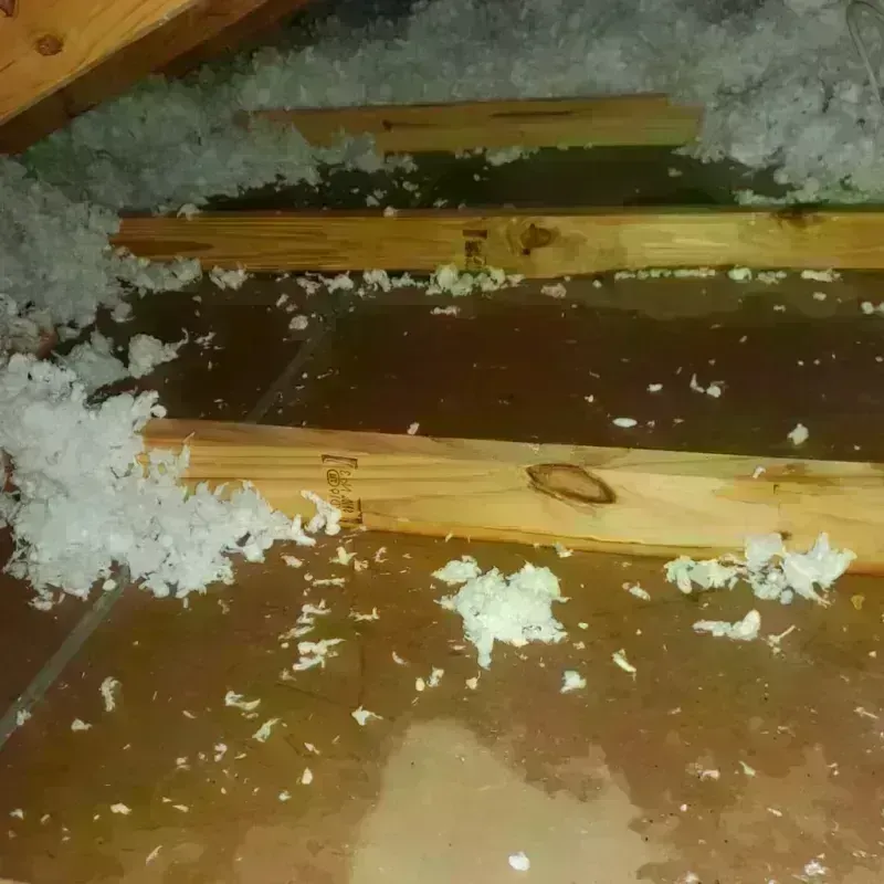 Attic Water Damage in Las Cruces, NM